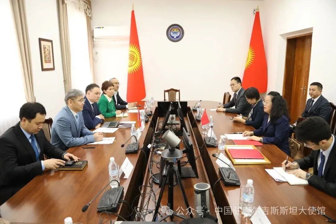 刘大使会见吉卫生部长